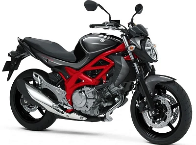 Suzuki SFV 400