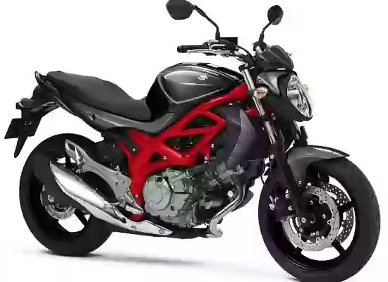 Suzuki SFV 400