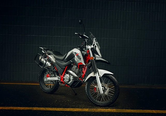 Minsk Goose 400