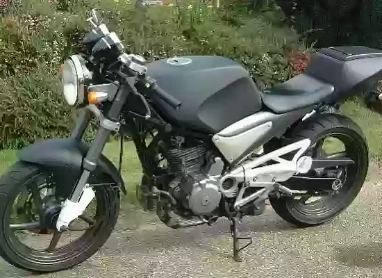 Suzuki Goose 350