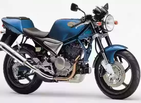 Suzuki Goose 350