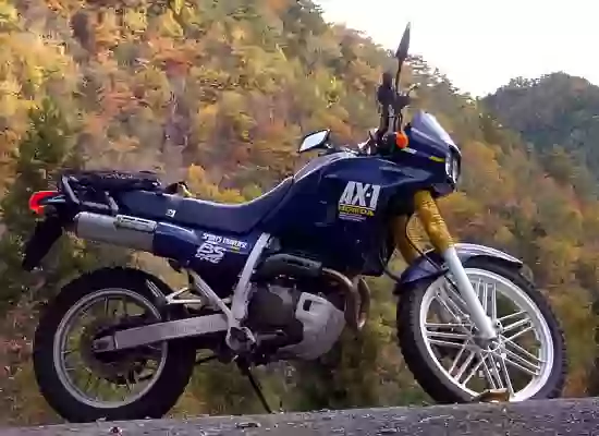 Honda AX-1 (NX250)