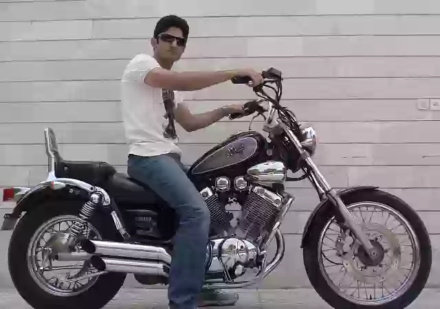 Yamaha Virago 400 (XV 400)