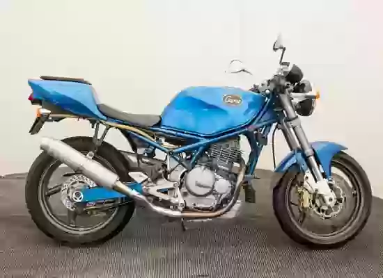 Suzuki Goose 350